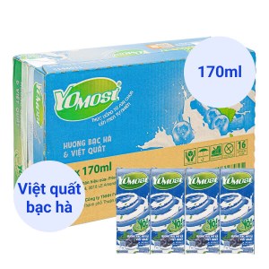 Thùng 48 hộp sữa chua uống bạc hà, việt quất YoMost 170ml