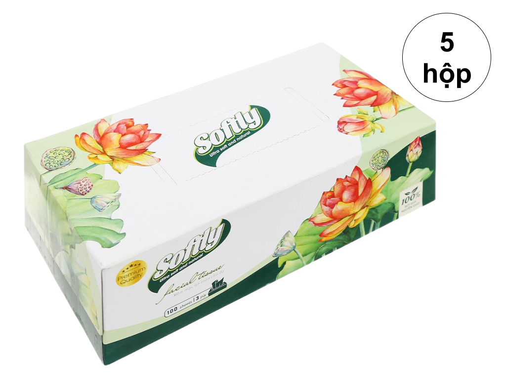 5 hộp khăn giấy lụa Softly 3 lớp 100 tờ 2