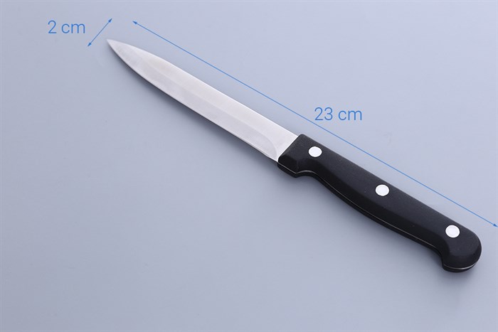 Dao gọt inox DMX D001-DG Màu Bạc