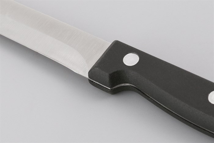 Dao gọt inox DMX D001-DG Màu Bạc