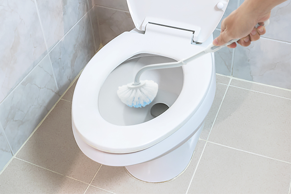 Cọ toilet nhựa Tashuan YJ799