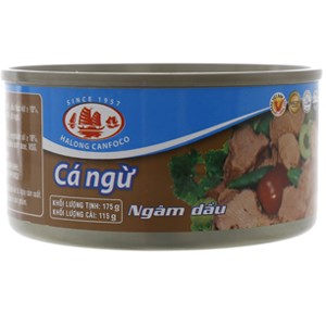 Cá ngừ Hạ Long