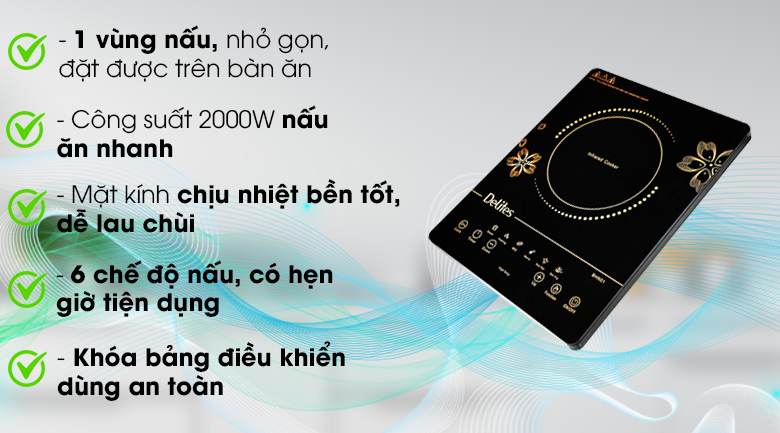 Bếp hồng ngoại Delites BHN01
