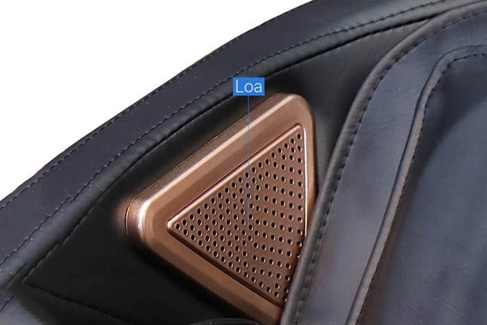 Ghế Massage Fuji Luxury FJ 699 Màu Đen