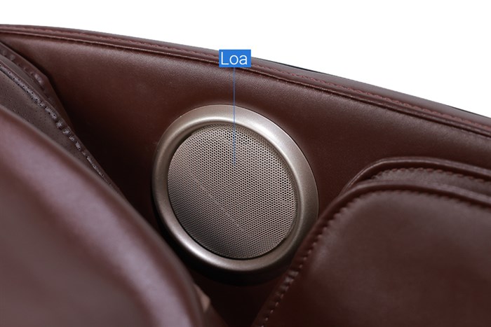 Ghế Massage Fuji Luxury FJ 999L Màu Đen