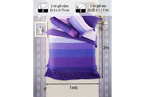Bộ drap 1m6 x 2m Lotus Impression LI-SD18B (Tím đậm kẻ sọc)
