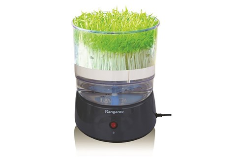 Máy làm rau mầm Kangaroo KG261