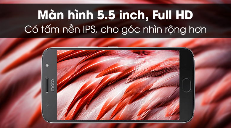 Điện thoại Motorola Moto G5S Plus
