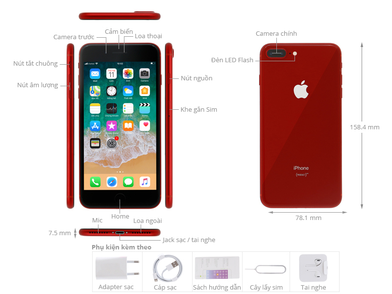 Cách Chụp Ảnh Đẹp Trên iPhone 8 Plus - Bật Mí 5 Thủ Thuật Ít Người Biết