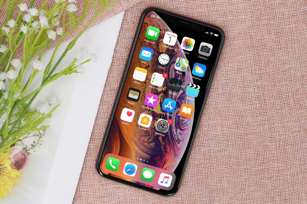 iPhone Xs 256GB - 19