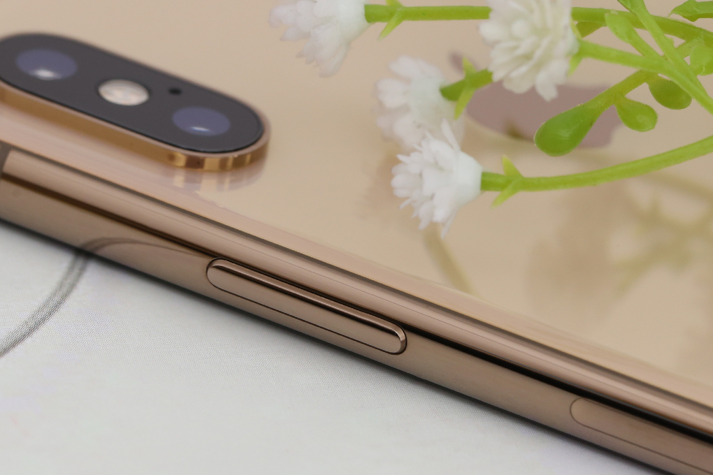 iPhone Xs 256GB - 28