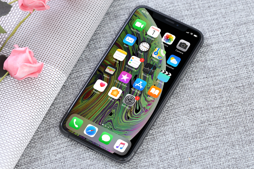 iPhone Xs 256GB - 18