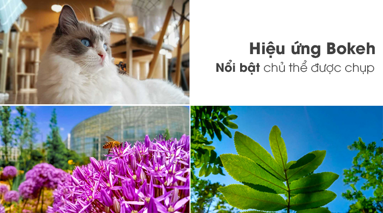 Điện thoại realme C2 (3GB/32GB)