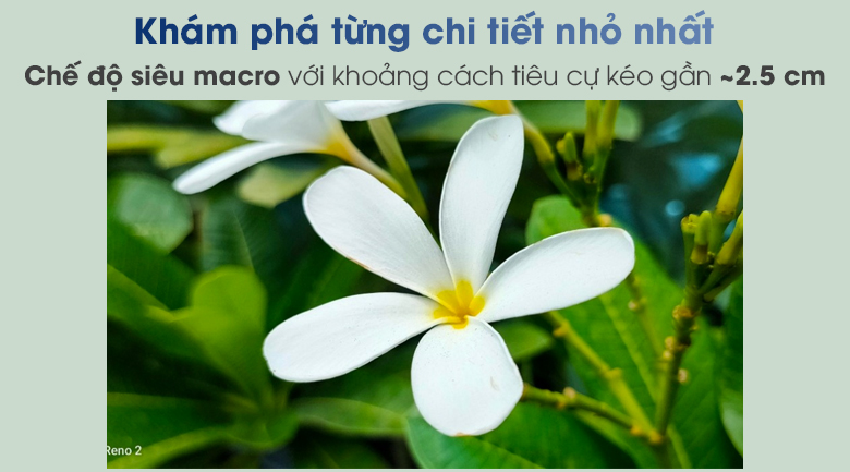 Điện thoại OPPO Reno2