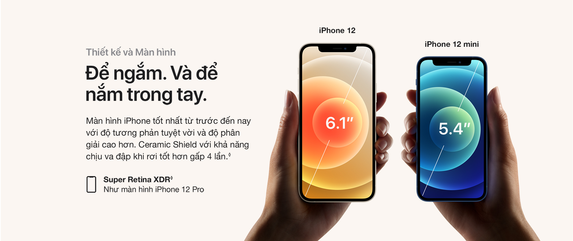 iPhone 12 Thiết kế và Màn hình