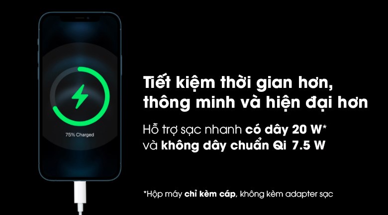 Điện thoại iPhone 12 Pro Max 128GB