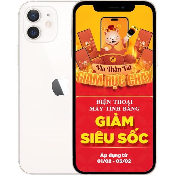 iPhone 12 256GB