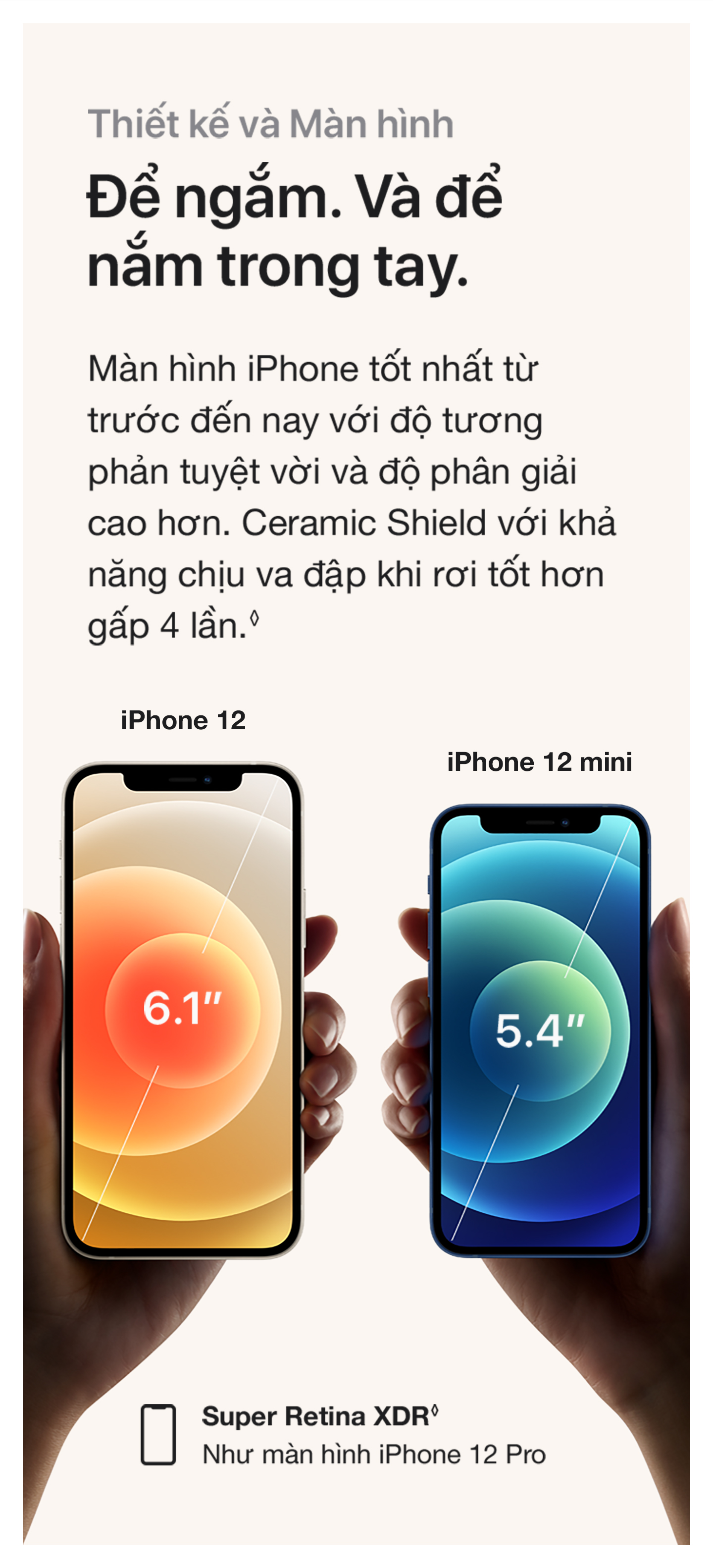 iPhone 12 mini Thiết kế và Màn hình