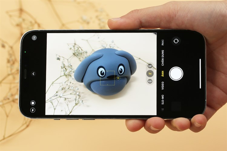 Điện thoại iPhone 12 Pro Max 256GB Màu Bạc