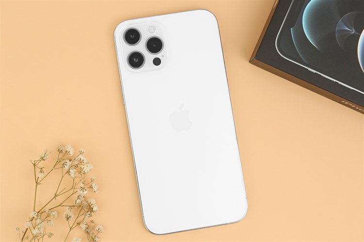 Điện thoại iPhone 12 Pro Max 256GB Màu Bạc