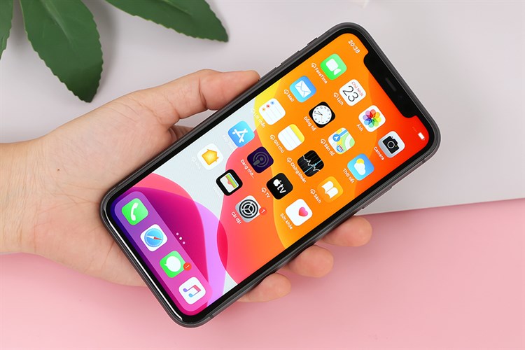 Điện thoại iPhone 11 256GB (Hộp cũ) Màu Đen