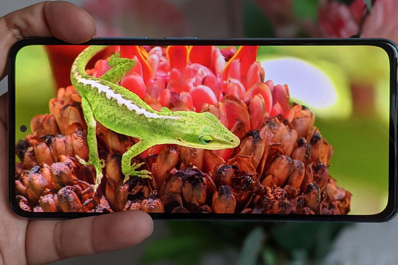 Điện thoại Xiaomi Mi 11X Pro | Màn hình giải trí siêu nét 120 Hz