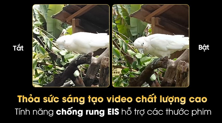 Điện thoại Vivo Y53s