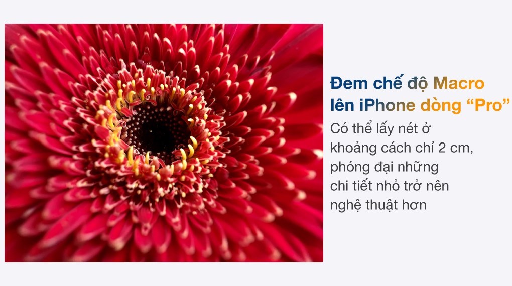 Điện thoại iPhone 13 Pro Max 1TB