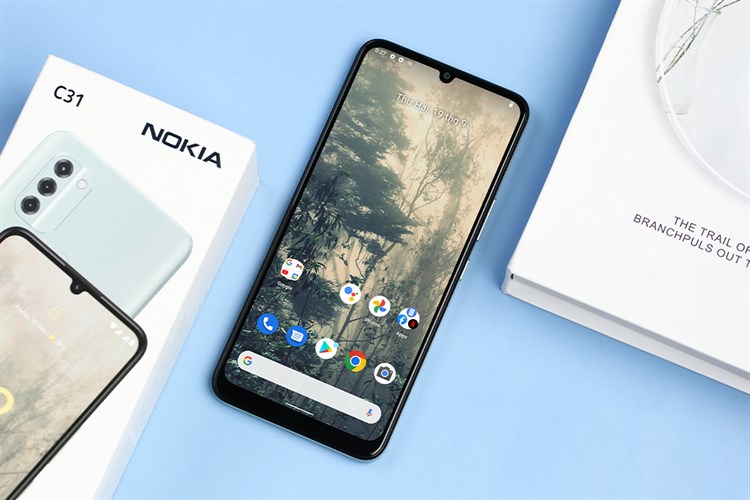 Điện thoại Nokia C31 (3GB/32GB)