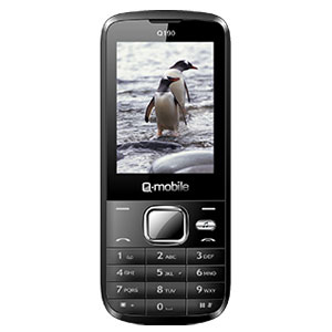 Q-mobile Q190