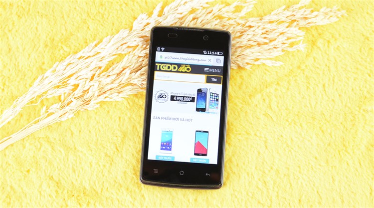 Điện thoại OPPO Joy R1001