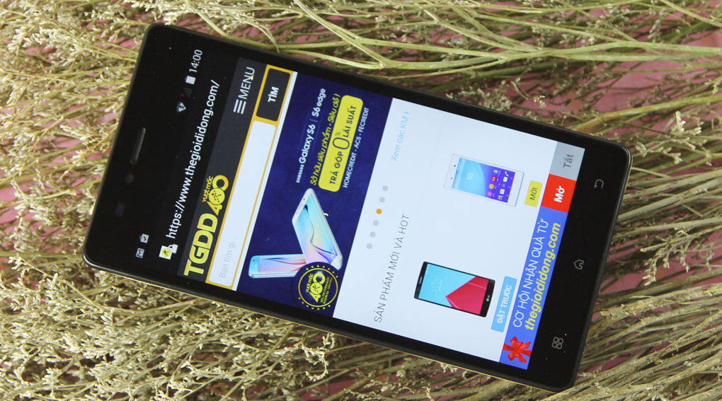 Điện thoại Q-Smart QS550T