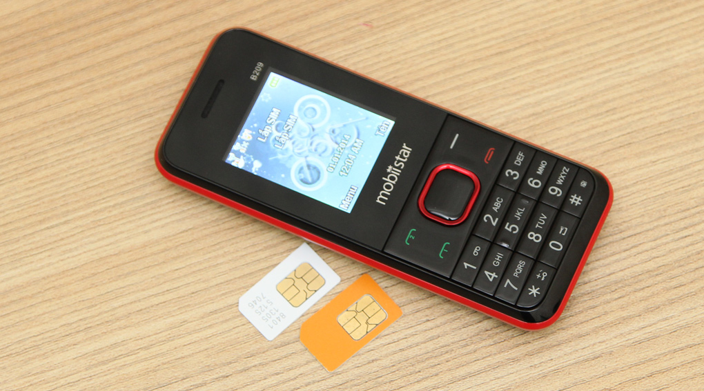 <p>B209 hỗ trợ 2 SIM gi&uacute;p việc li&ecirc;n lạc tiện lợi v&agrave; tiết kiệm hơn</p>