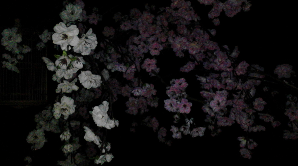 So sánh chi tiết Điện thoại OPPO Joy Plus R1011 với OPPO Reno ...