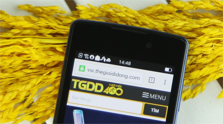 Điện thoại OPPO Joy Plus R1011 Màu Xanh Dương