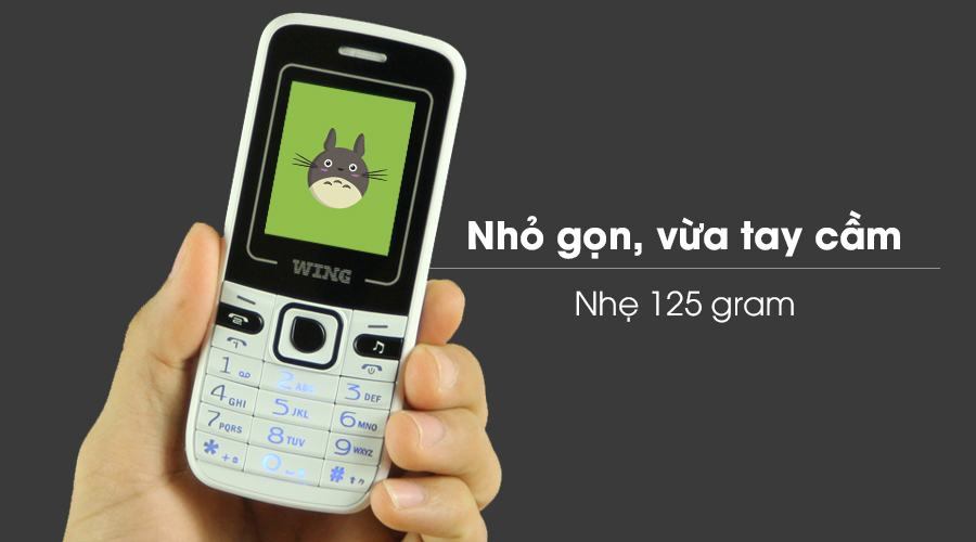 Điện thoại Wing S88