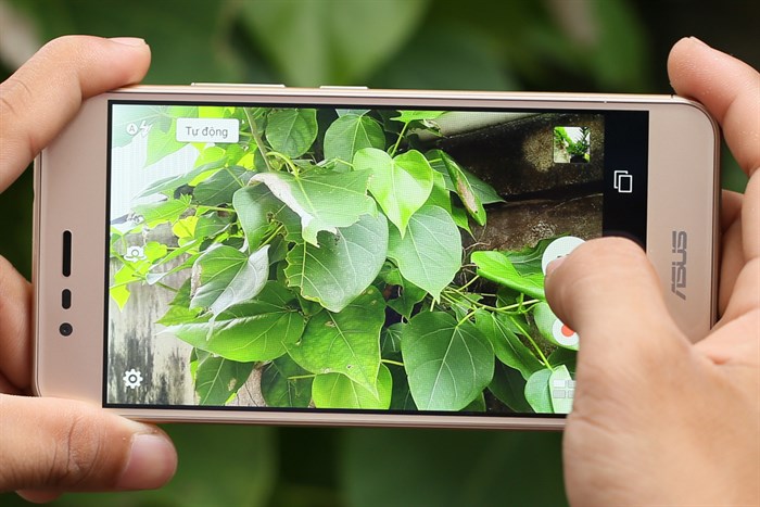 Điện thoại Asus Zenfone 3 Max Màu Vàng