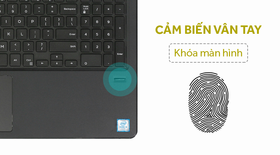 Laptop Dell Vostro 3568 i3 6006U/4GB/1TB/Win10/(VTI3027W)