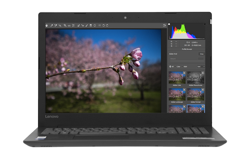 Cấu hình đồ hoạ cơ bản trên Lenovo Ideapad 330 15IKBR i3 7020U Cấu hình đồ hoạ cơ bản trên Lenovo Ideapad 330 15IKBR i3 7020U