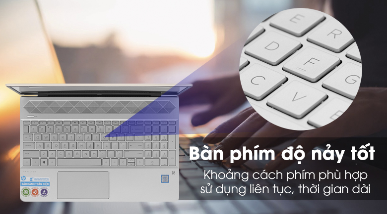 Laptop HP Pavilion 15 cs1009TU i5 8265U/4GB/1TB/Win10 (5JL43PA)