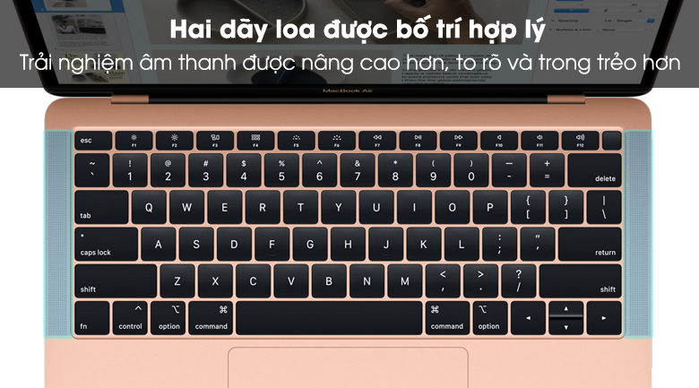 Laptop Apple Macbook Air 2018 i5/8GB/128GB (MREE2SA/A)