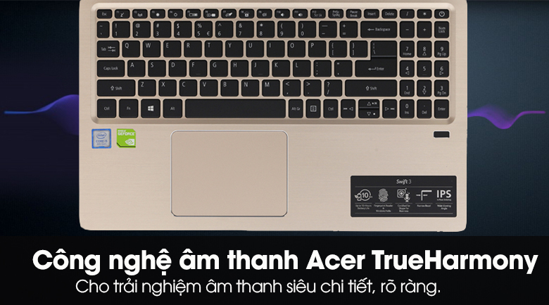 Laptop Acer Swift 3 SF315 52G 58TE i5 8250U/8GB/256GB/2GB MX150/Win10 (NX.GZCSV.001)