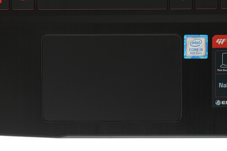 Laptop MSI GF63 8RC i5 8300H/8GB/1TB+128GB/ GTX1050/Win 10 (243VN)