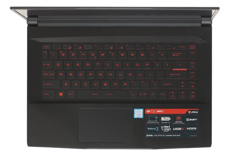 Laptop MSI GF63 8RC i5 8300H/8GB/1TB+128GB/ GTX1050/Win 10 (243VN)