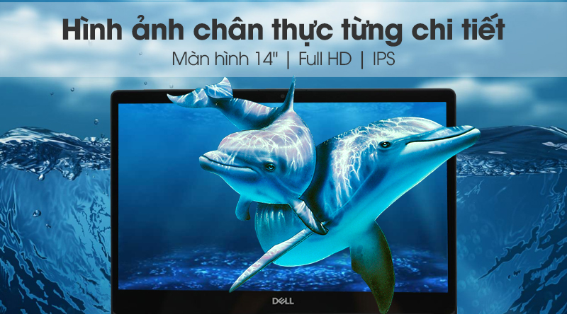 Laptop Dell Inspiron 14 5482 i7 8565U/8GB/256GB/2GB MX130/Touch/Office365/Win10 (C2CPX1)