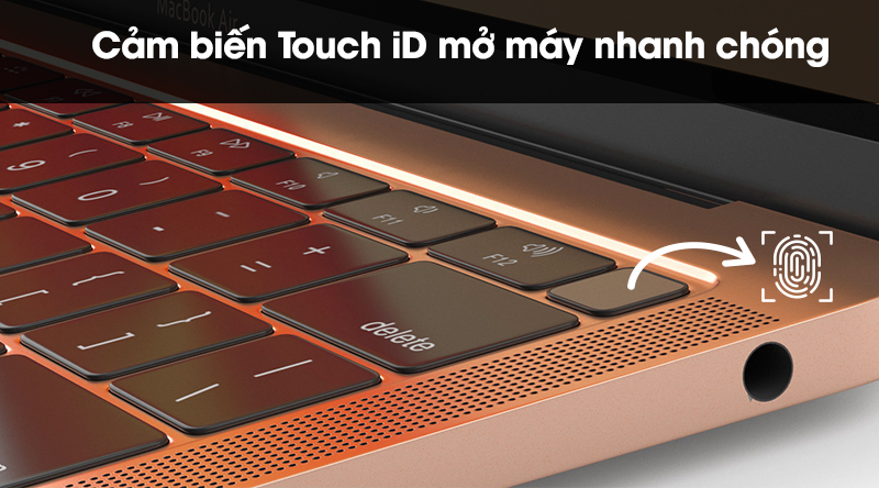 Laptop Apple Macbook Air 2019 i5 1.6GHz/8GB/128GB (MVFM2SA/A)