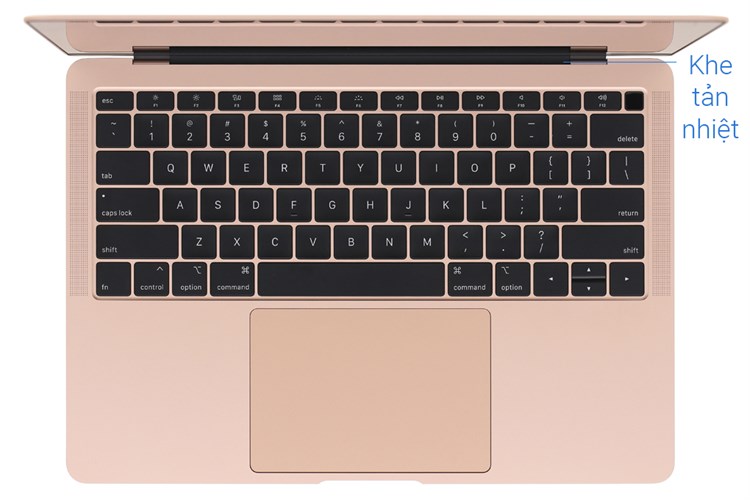 Laptop Apple Macbook Air 2019 i5 1.6GHz/8GB/128GB (MVFM2SA/A)