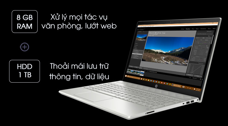 Laptop HP Pavilion 15 cs2120TX i5 8265U/8GB/1TB/2GB MX130/Win10 (8AG58PA)
