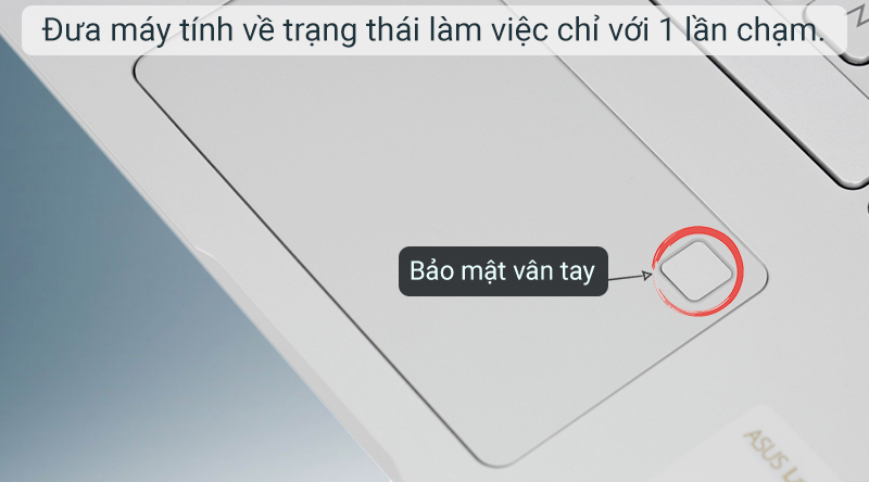 Laptop Asus VivoBook D409D R3 3200U/4GB/256GB/Win10 (EK119T)