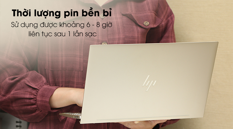 Laptop HP Envy 13 aq1021TU i5/10210U/8GB/256GB/Win10 (8QN79PA)